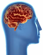 Your brain needs help
